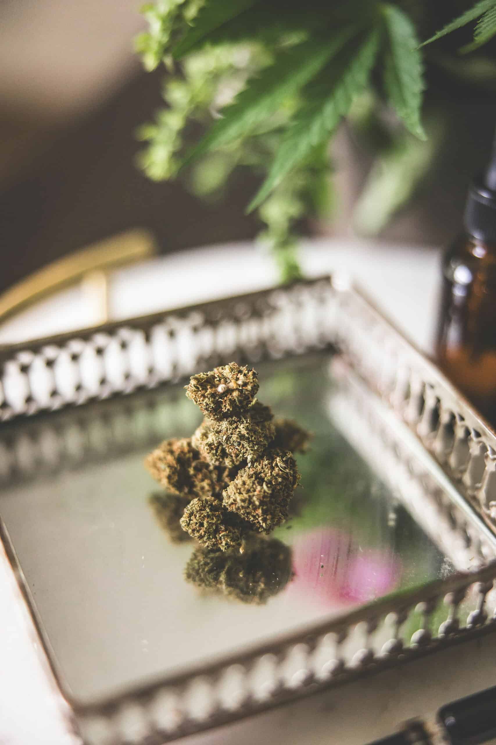 A picture of CBD flower from Emily Kyle